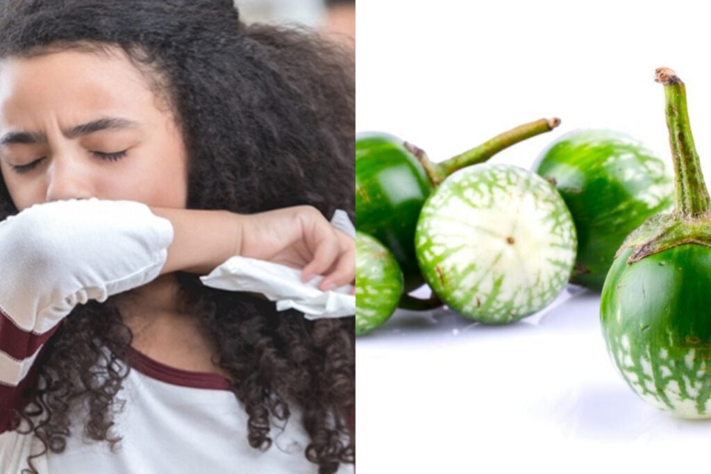 කැස්ස පීනස නිට්ටාවටම සුව කරන හුගාක් අය බොන්න අකමැති එලබටු කැද වල තියෙන ගුණ ඇහුවොත් ඔයත් පුදුම වේවි..
