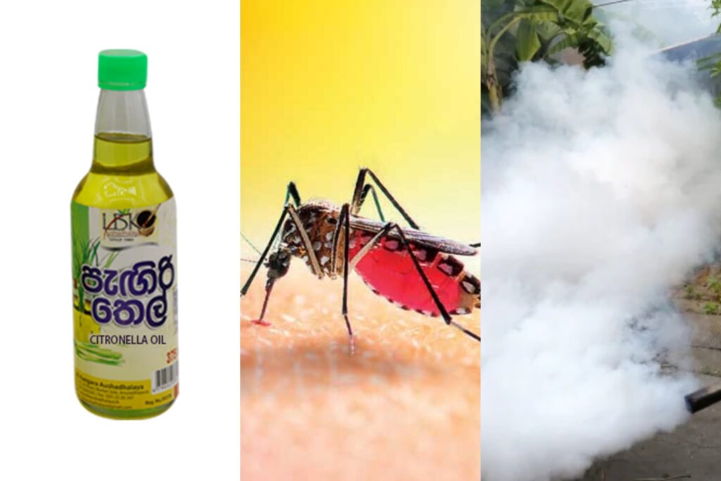 මදුරු කරදරෙන් ඔයත් පීඩා වලට ලක් වෙනවා නේද ? මෙන්න මදුරු කරදරේ නැති කරන්න ඔයාට නියම ටිප්ස් ටිකක්….