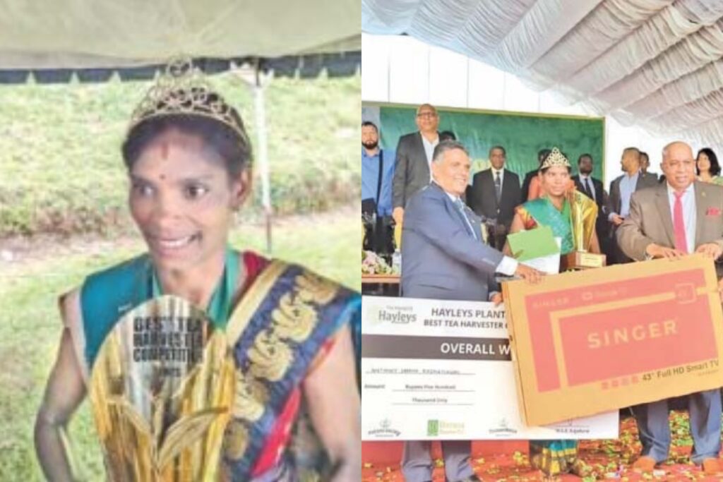 ඇයත් ඇගයිය යුතුමයි. විනාඩි 15න් දළු කිලෝ 8ක් නෙළපු තලවකැලේ රාජලක්ෂ්මි හොඳම දළු නෙලන්නිය වෙයි.