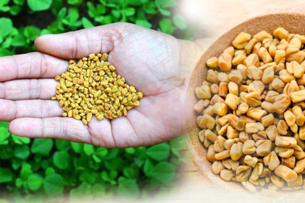 මේ උළුහාල් පානය බිව්වොත් දියවැඩියාව නිට්ටාවටම සුවයි. දියවැඩියාව මට්ටු කරන දිව්‍යමය ඔසුවක් මෙන්න…
