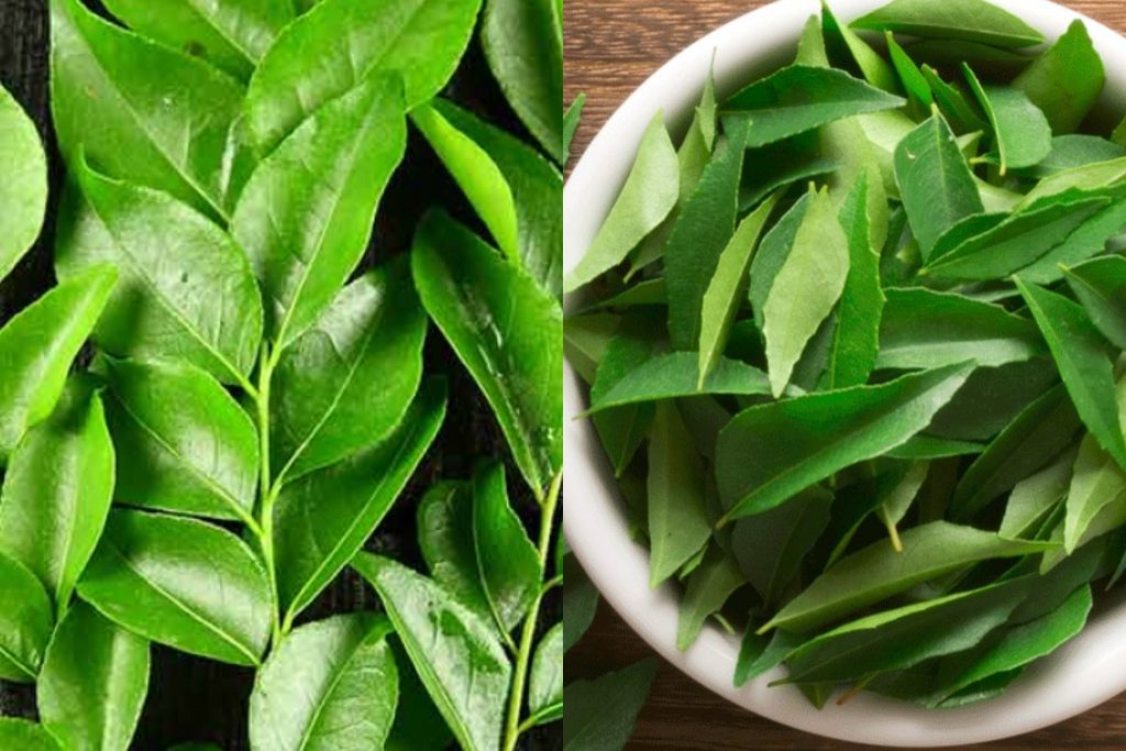 කෑම පිගානේ පැත්තකින් තියන කරපිංචා කොළයට අක්මා, දියවැඩියාව ඇතුලු රෝග ගණනක් හොඳ කරන්න පුළුවන් කියලා ඔයත් මීට කලින් දැනගෙන හිටියද ?