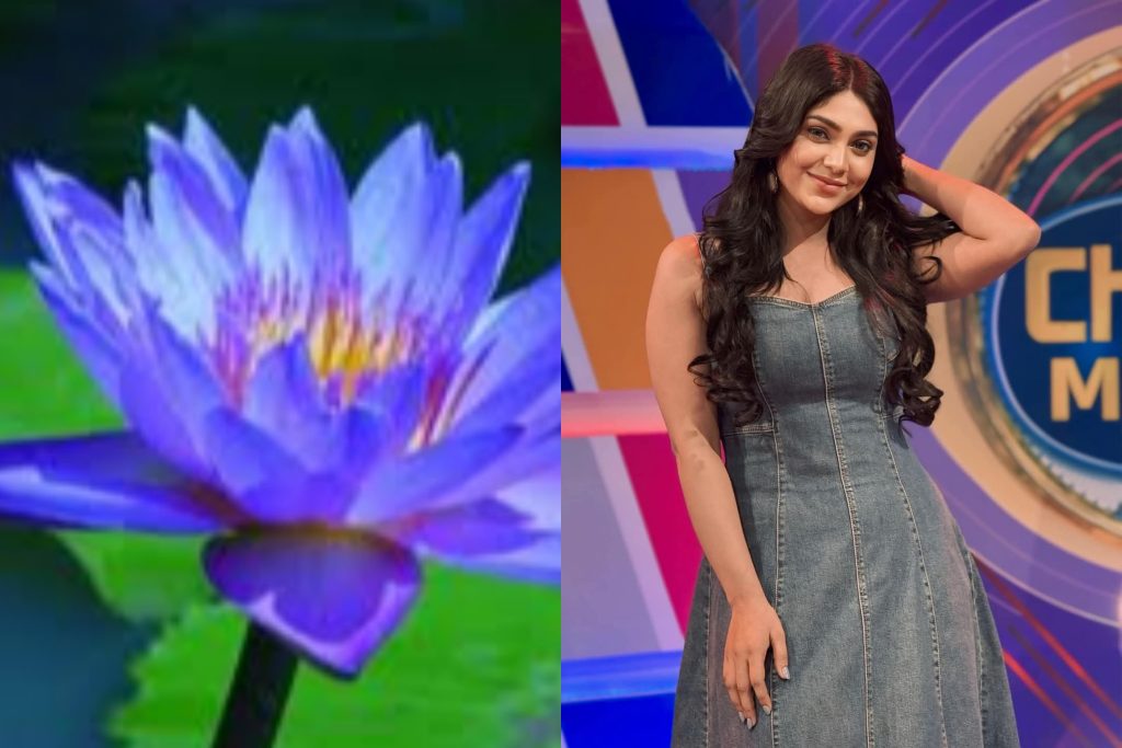 නිල් මානෙල් වගාවත් රංගන ජීවිතයත් සාර්ථකව කරගෙන යන රටක් ආදරේ කරපු නයෝමි තක්ෂිලා ගැන ඇසෙන වෙනස්ම කතාව මෙන්න