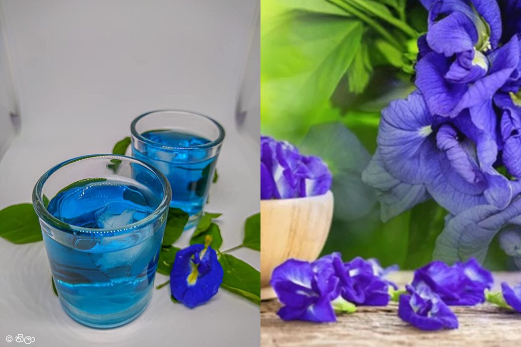 කාලයක් තිස්සේ දුක් විඳින සෙම් රෝගයට මෙන්න කියාපු බෙහෙත…