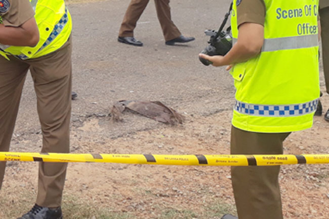 ඛේදවාචකයකින් අවසන් වූ දන්සැලක් ගැන ඇසෙන අනුවේදනීය කතාව මෙන්න