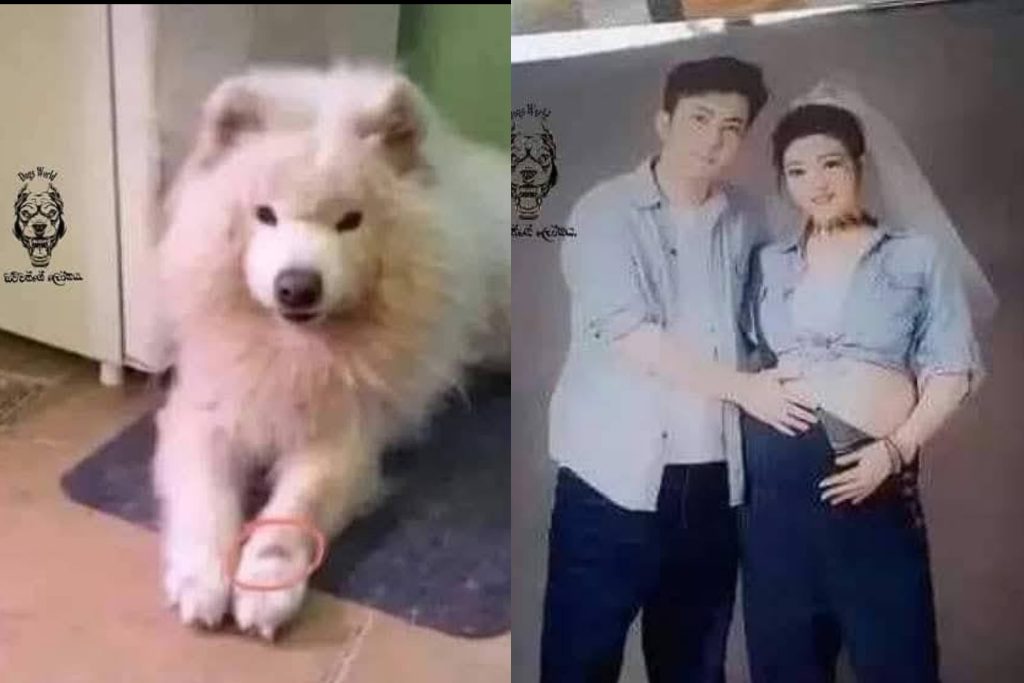 මියගිය බව්වා දරුවෙක් විලස යලි ඒ නිවසේම පිළිසිඳගෙන… ඒ ඇසෙන අරුමපුදුම කතාව මෙන්න…