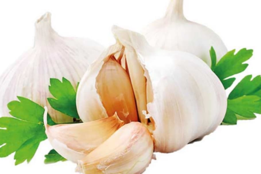 දෙවියන් දුන් සුදුළුණුවල විශ්මිත බලය… ආහාරයට ගත්තොත් දැනෙන ප්‍රතිඵල හිතා ගන්න බැරිවෙයි …