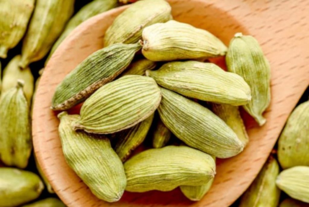 දවසට එනසාල් ඇට දෙකක් ආහාරයට ගන්න… ඒ ඇයි කියලා ඇහුවොත් ඔබ පුදුම වෙයි…