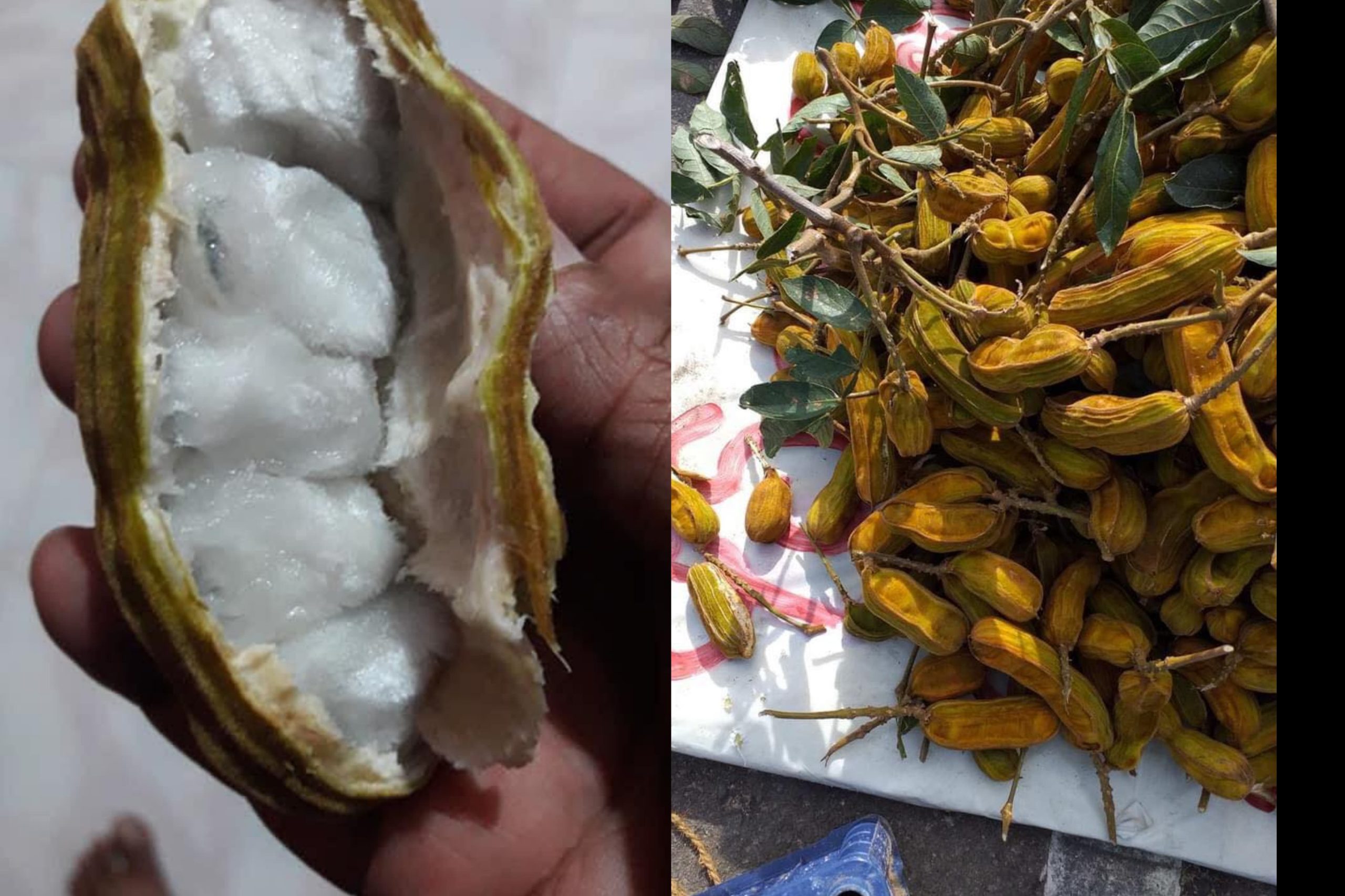 මොනවද මේ කරල් දූරියන්..? ඒ රස නම් කියලා නිම කරන්න බැ…