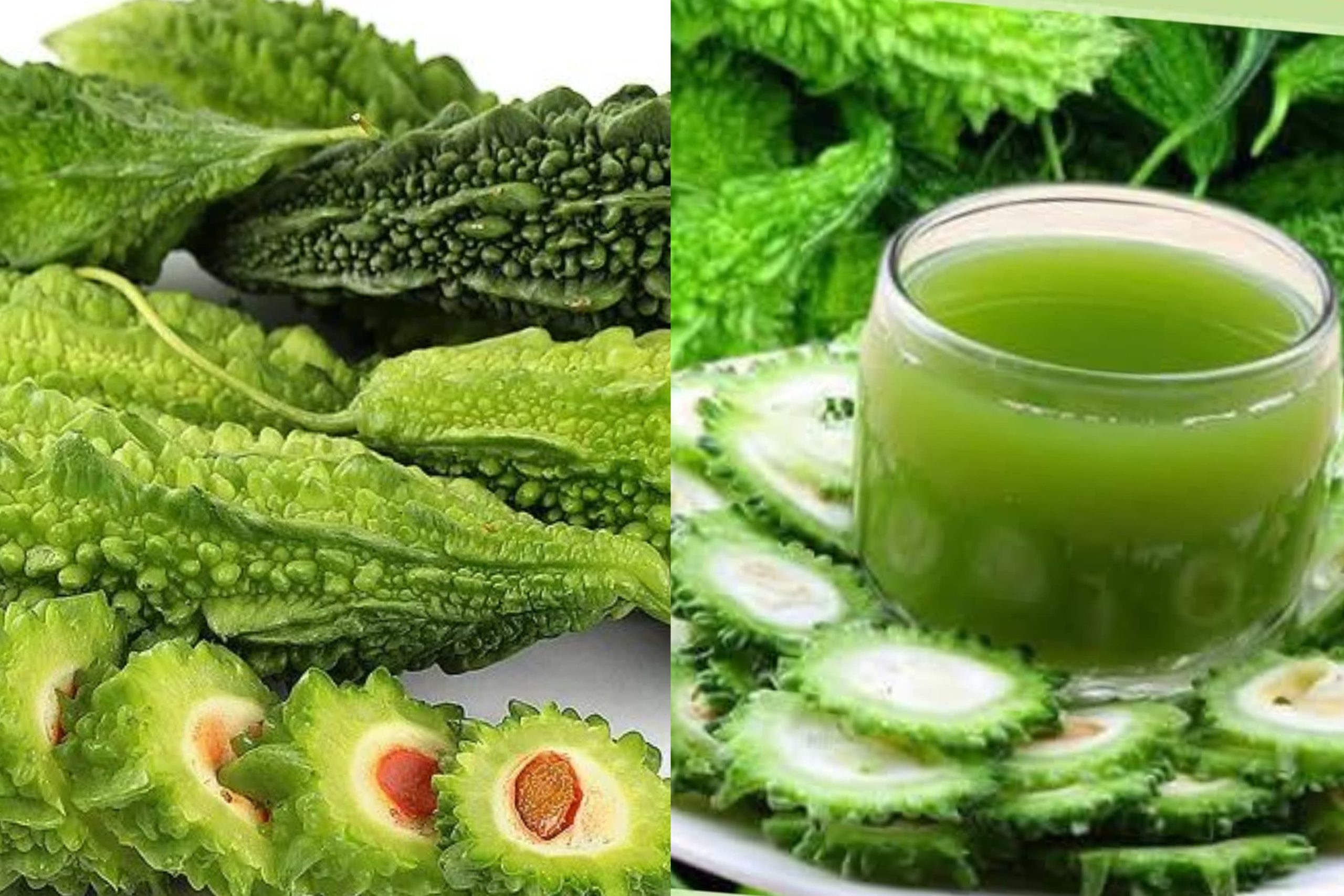 කරවිල වල ඇති මේ විශ්මිත ගුණ ඔබ දන්නවා නම් අකමැති වුනත් කරවිල ආහාරයට ගනීවි..!