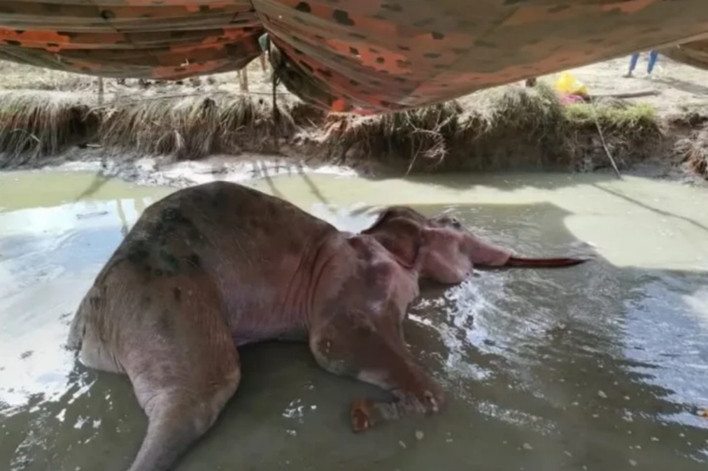 Polish_20250708_095213180