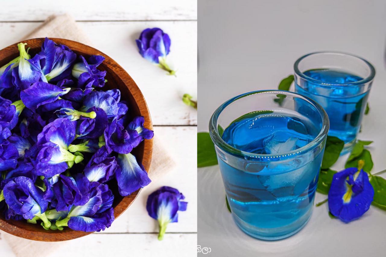 කාලයක් තිස්සේ පීඩා විඳින සෙම් රෝගයට අත්දුටු බෙහෙතක් මෙන්න