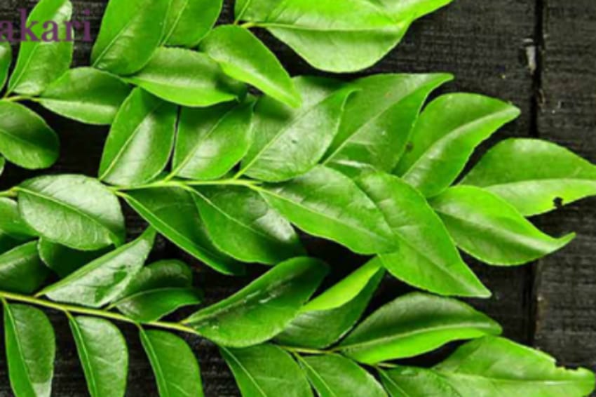 හදවතට පණ දෙන විශ්මිත ගුණ ඇති කරපිංචා ගැන ඔබ නොදත් දේ මෙන්න