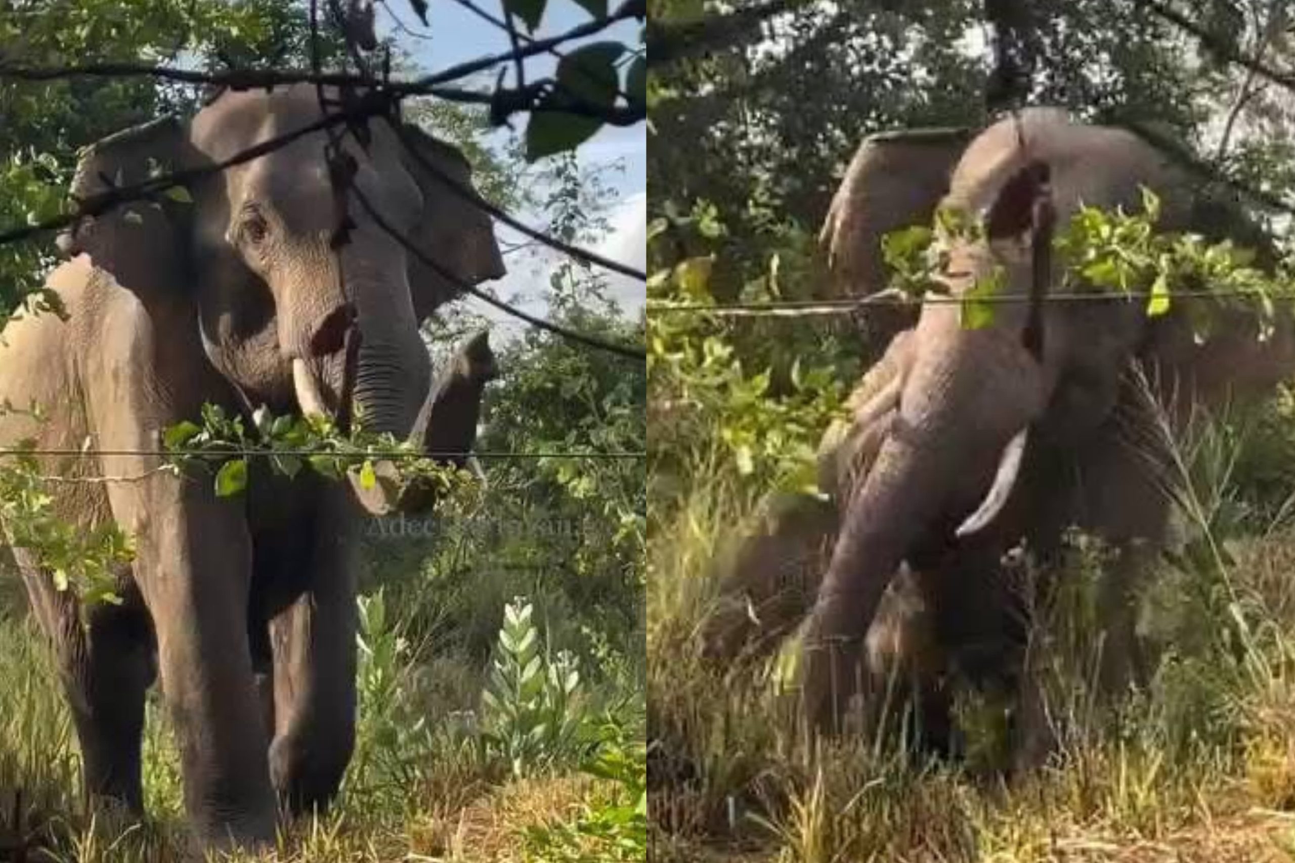 WhatsApp Image 2025-07-05 at 10.25.12 AM