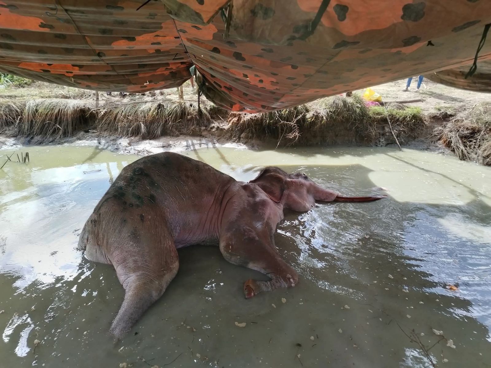 WhatsApp Image 2025-07-06 at 12.13.05 PM