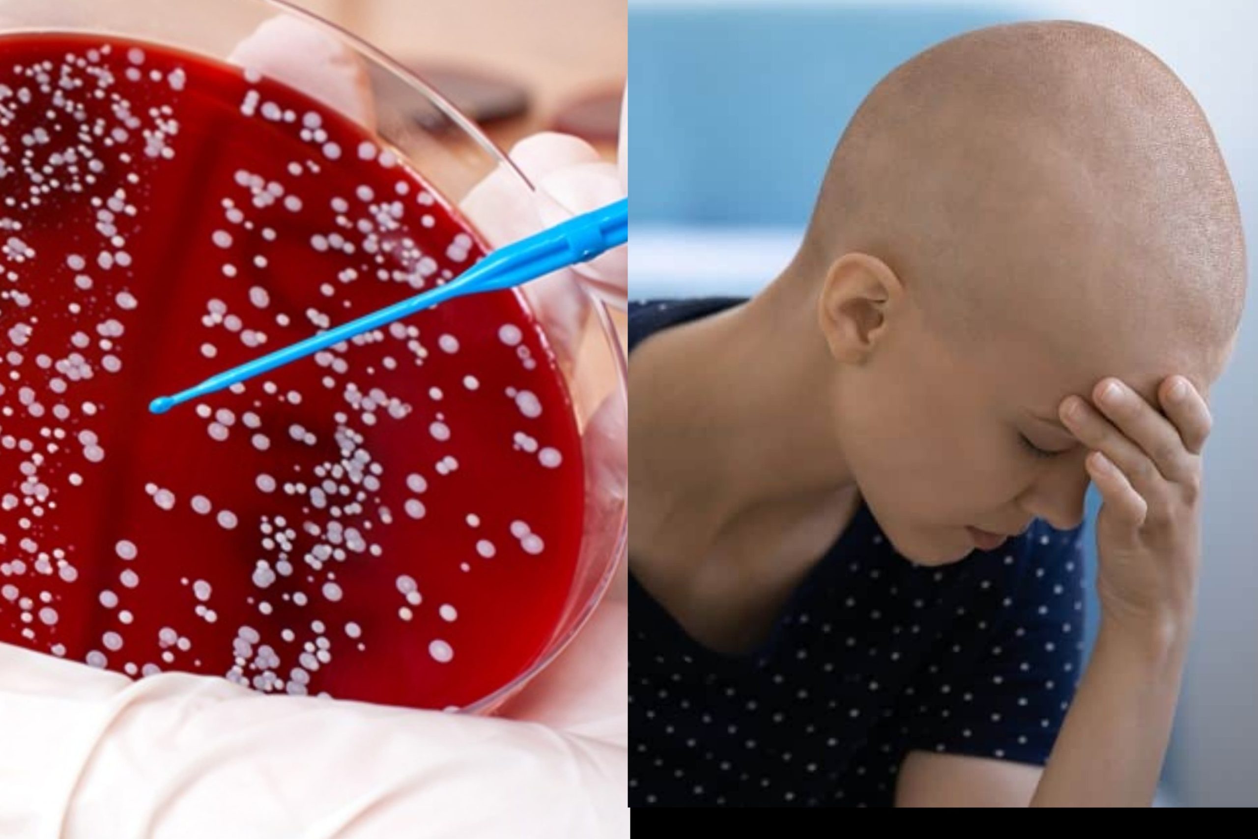 රුධිරයේ හැදන මේ ලොකු ලෙඩේ ගැන කල්තියා හඳුනාගන්නේ මෙහෙමයි.