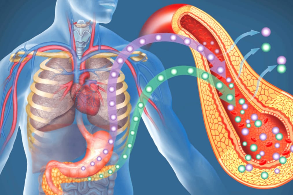 WhatsApp Image 2025-07-10 at 2.26.14 PM