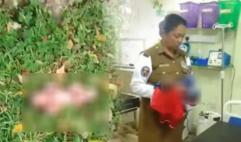 WhatsApp Image 2025-07-18 at 6.27.40 AM (1)