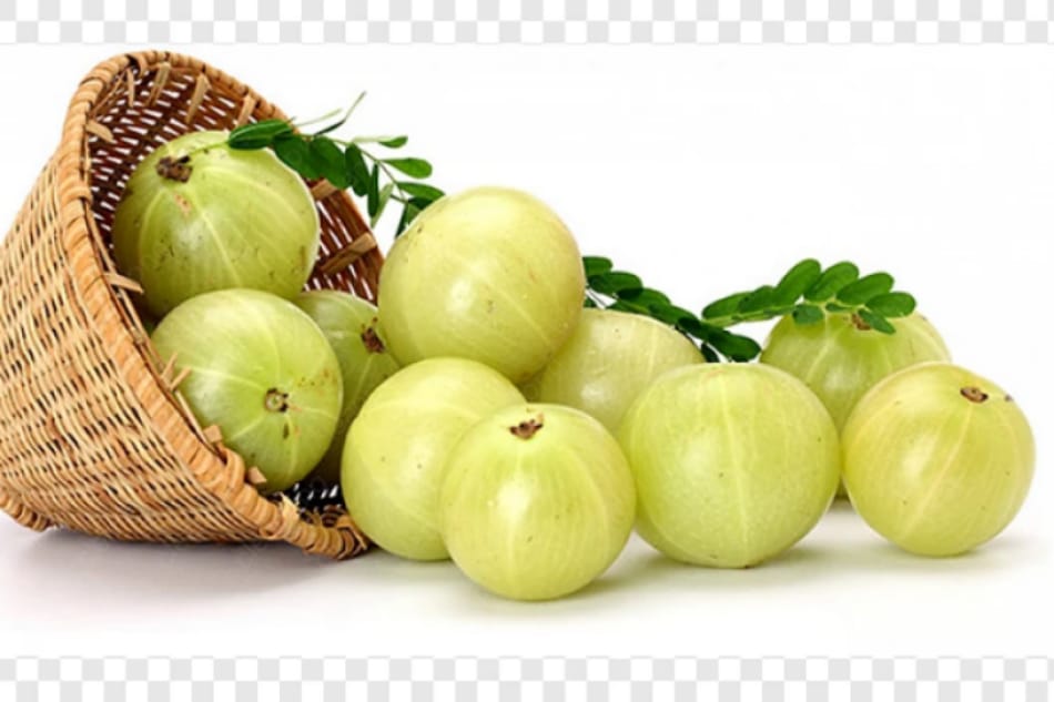 වා, පිත්, සෙම් නසන නෙල්ලි වල ඇති බලගතු ගුණ ගැන ඔබ දැනගත යුතුම කතාවක් මෙන්න