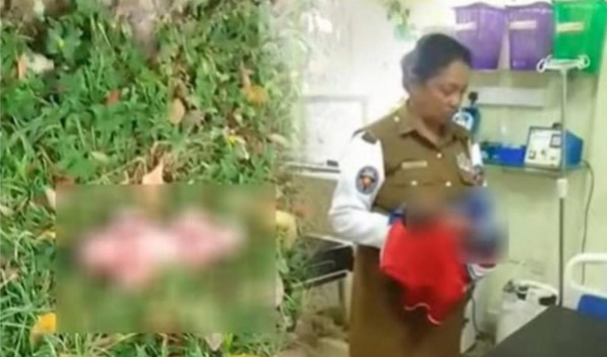 WhatsApp Image 2025-07-20 at 9.55.45 AM