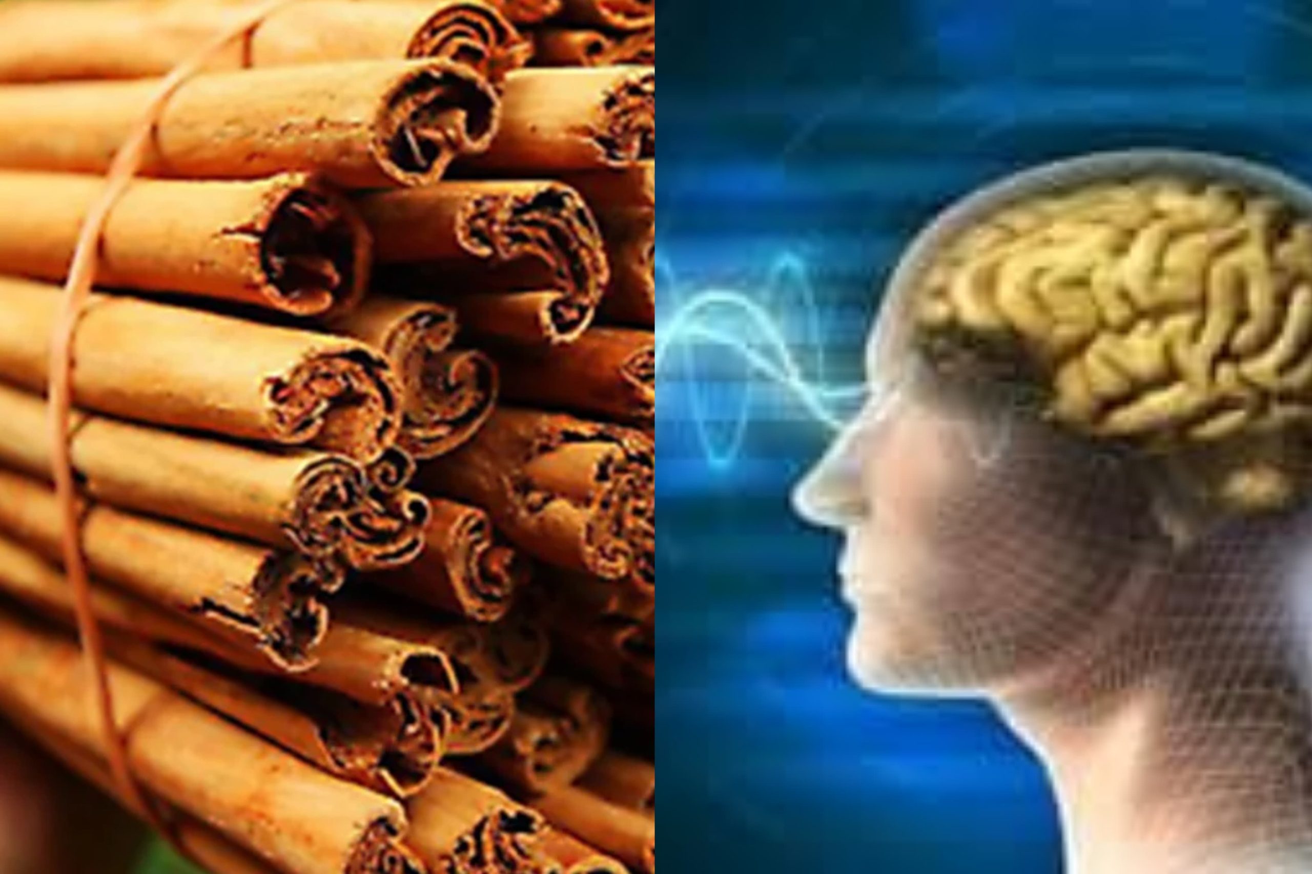 කුරුඳු වලට ඔයාගේ මතක ශක්තිය වැඩි කරන්න පුලුවන් කියලා දන්නවද ? කුරුඳු වලින් අපේ ජීවිතේට ලැබෙන අපි හිතන්නෙවත් නැති විශ්මිත දේවල් බලන්නකෝ…