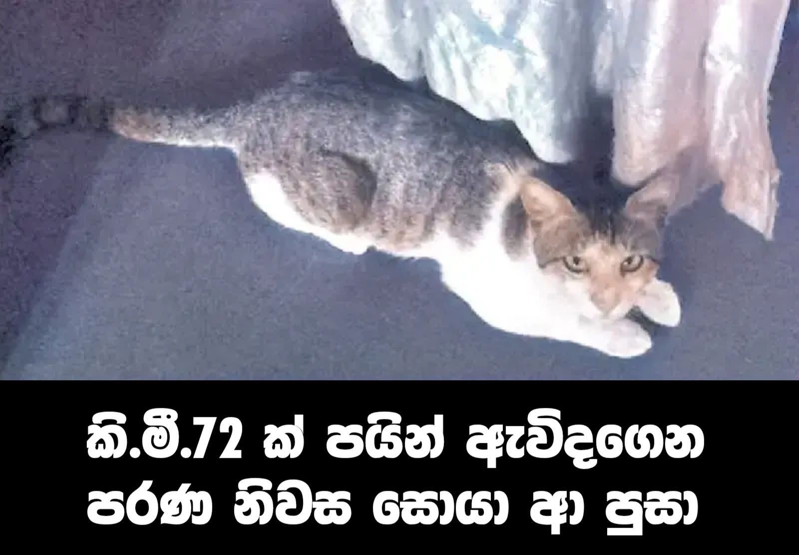 WhatsApp Image 2025-07-29 at 10.06.22 PM