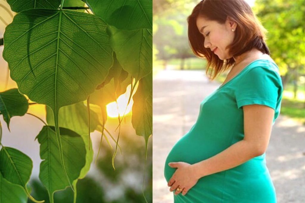 ඔබත් දරු සම්පත් බලාපොරොත්තුවෙන් ඉන්න කෙනෙක්ද ? පින්වන්ත දරුවෙකුගේ උපතක් ලබාගන්න මේ ගැනත් සැලකිලිමත් වෙන්න