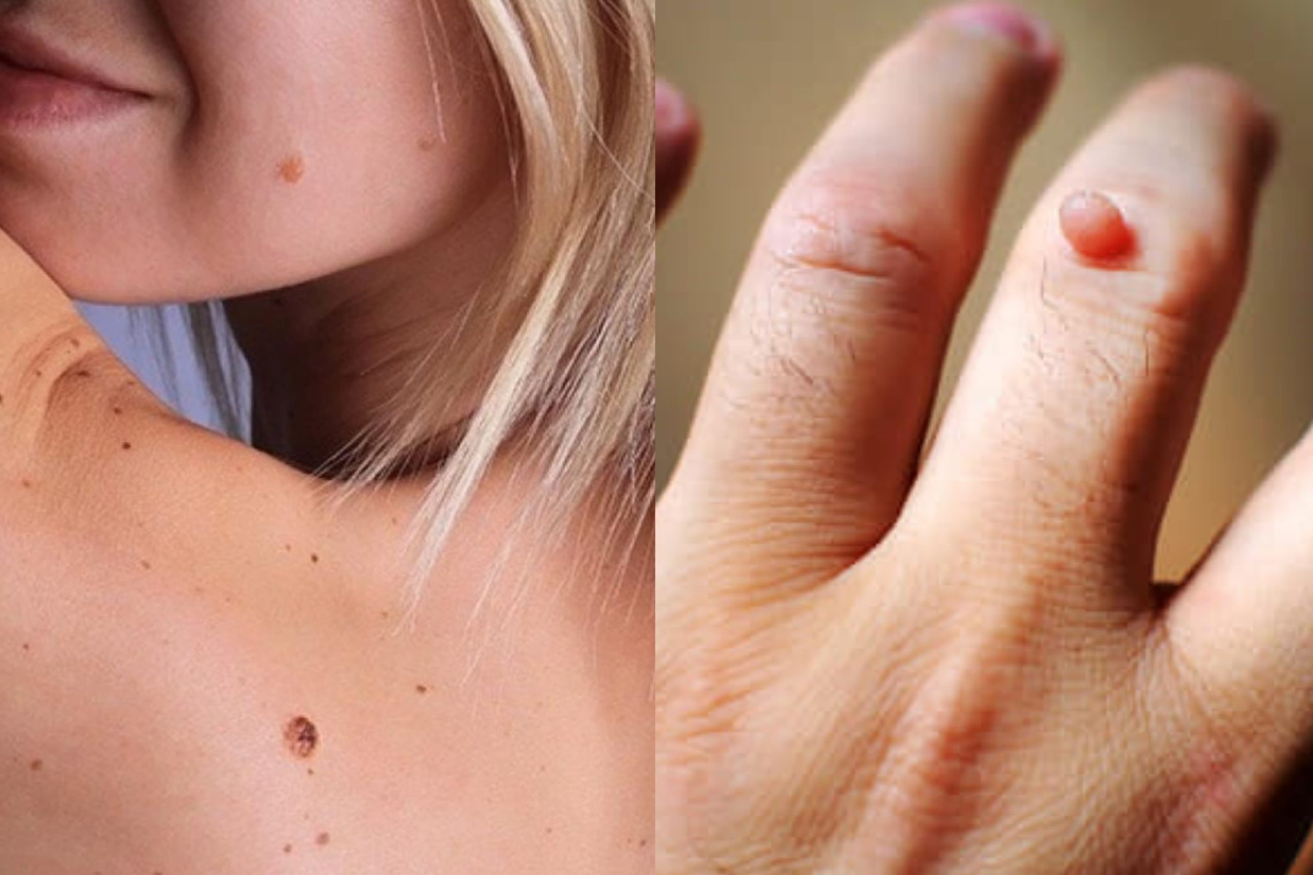 WhatsApp Image 2025-08-04 at 11.18.11 PM