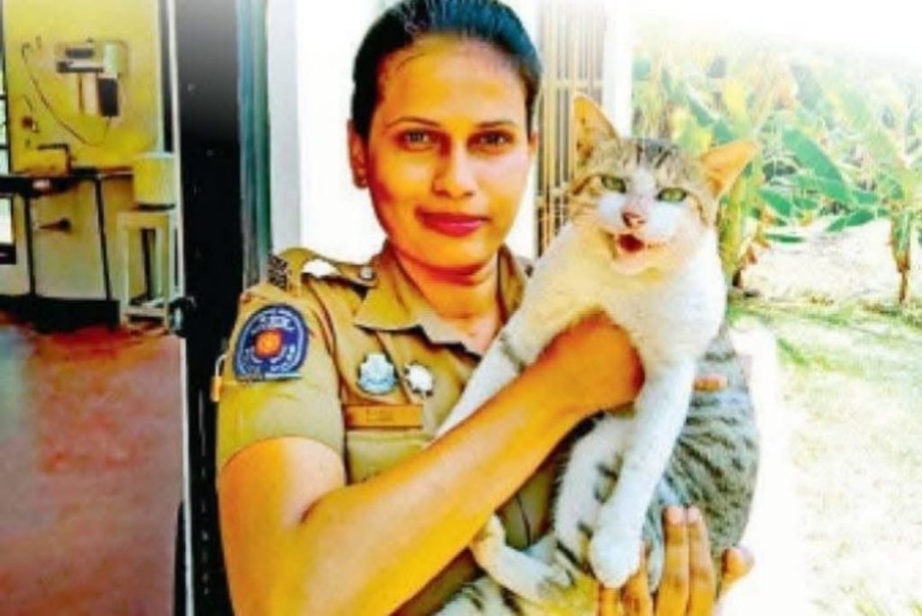 දවස් 22ක් තිස්සේ කිලෝමීටර් 72ක්… බළලෙක් ඒ වගේ දුරක් ගියා කියන්නෙ පුදුමයි” – පොලිසියට පෙම් බැඳි “පූසා ටුටූ” ගැන ඇහෙන කතාව…