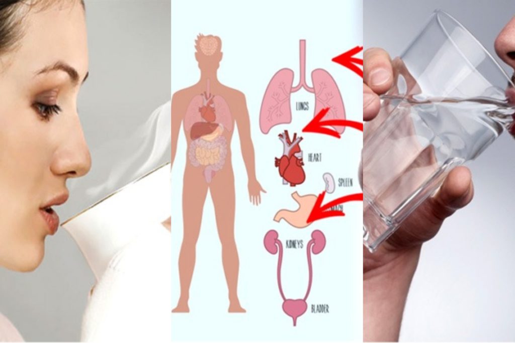 බඩ අඩු කරන ලෙඩ සුව කරන විශ්මිත වූ උණු වතුර සත්කාරය ගැන ඔබත් දැනගන්න