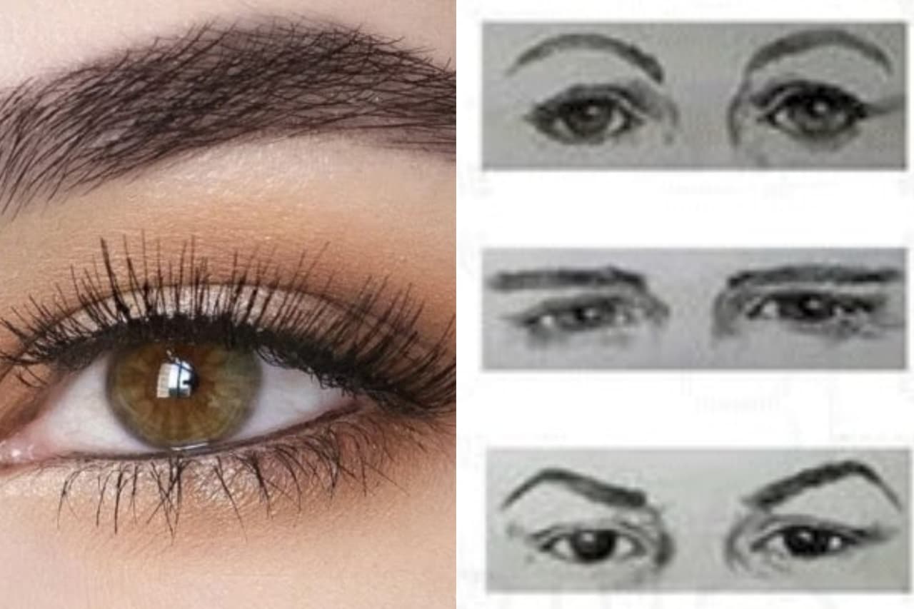 ඇහි බැමි හෙළිකරන ජීවිත රහස් ගැන දේහ ලක්ෂණ විද්යාවෙ කියන දෙවල් මෙන්න…