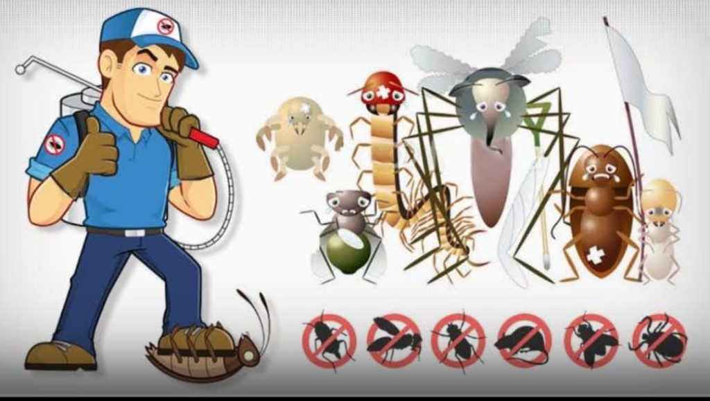 මැස්සො, කැරපොත්තො, හූනො , වේයෝ වගේ ගෙදරට එන කරදරකාරී සත්තු එලවගන්න පහසු ක්‍රම 7ක් මෙන්න ….