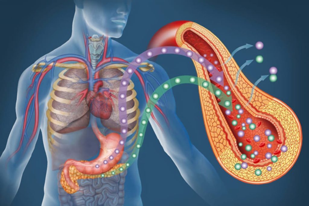 දියවැඩියාව මට්ටු කරන ඔබ මෙතෙක් නොදත් ඒත් දැනගත යුතුම විශ්මිත දේශීය ඖෂධ ටිකක් මෙන්න !