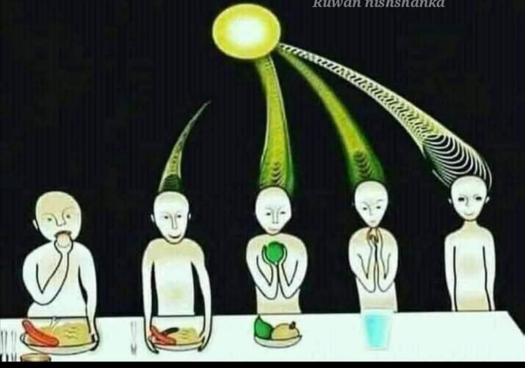 බඩ අඩු කරගන්න, දියවැඩියාව නැත්තටම නැති කරගන්න මෙන්න ගෙදර ඉදන් කරන්න සුපිරිම වැඩේ.. නිරාහාරව සිටිමේ ප්රතිලාභ මෙන්න. ඩයට් කරද්දී දැනගෙන ඩයට් කරන්න