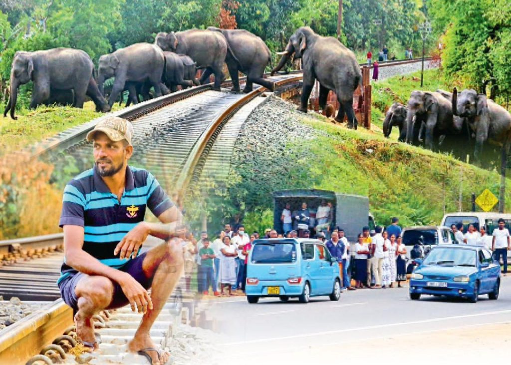 “මම පොඩි කඩයක් කරන්නේ. ඒක කරන ගමන් තමයි සත්තුන්ටයි, මනුස්සයන්ටයි ආරක්ෂාව සලසන විධියට මේ උදවුව කරන්නේ..’ අලි ඇතුන් දහසක් රැක්ක කුමාර ගැන ඇසෙන කතාව