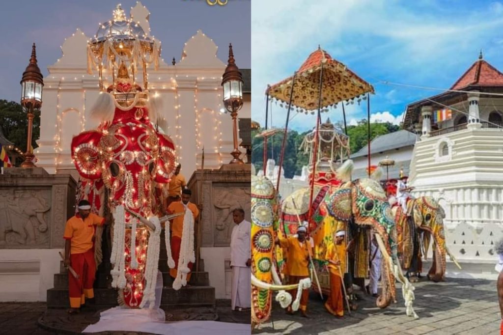 කුඹල් පෙරහැරෙයි රන්දෝලි පෙරහැරෙයි වෙනස දන්නවද ? මහනුවර දළදා පෙරහැරේ ඔබ නොදට්‍ය් තතු මෙන්න