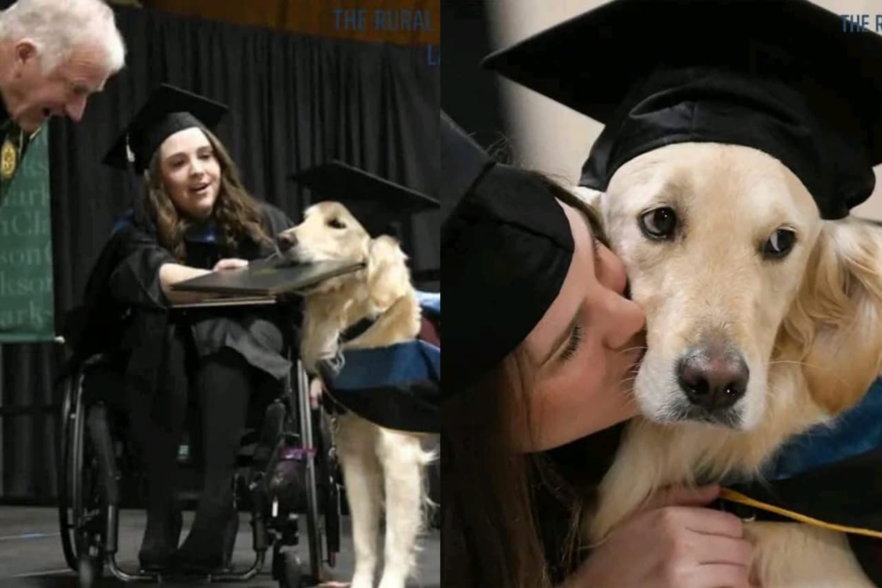 WhatsApp Image 2025-08-30 at 9.07.30 AM