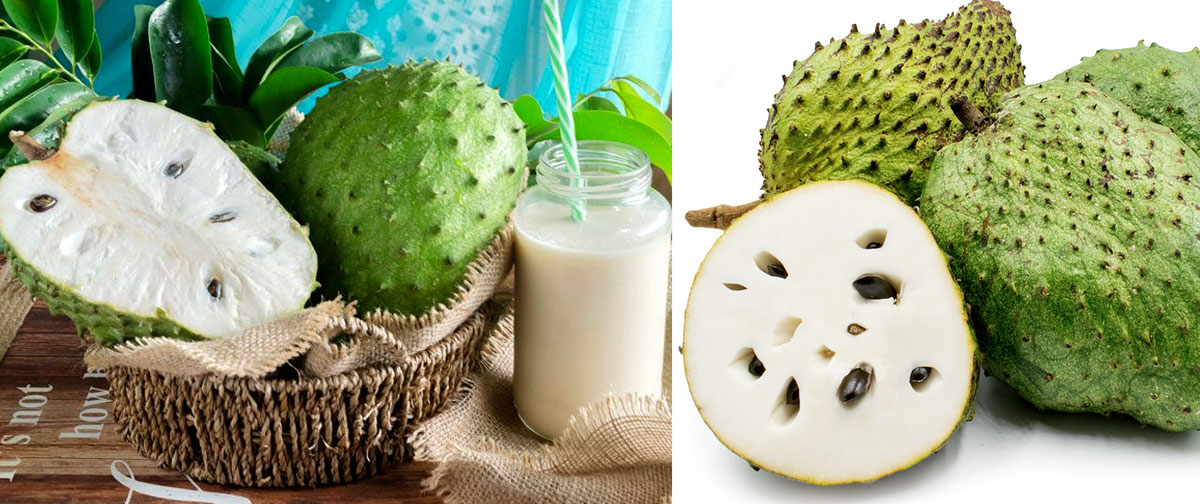 පි|ලි.කා සුව කරන නිරෝගී දිවියකට ගුණ දෙන අනෝදා වල ඇති විශ්මිත ගුණ මෙන්න