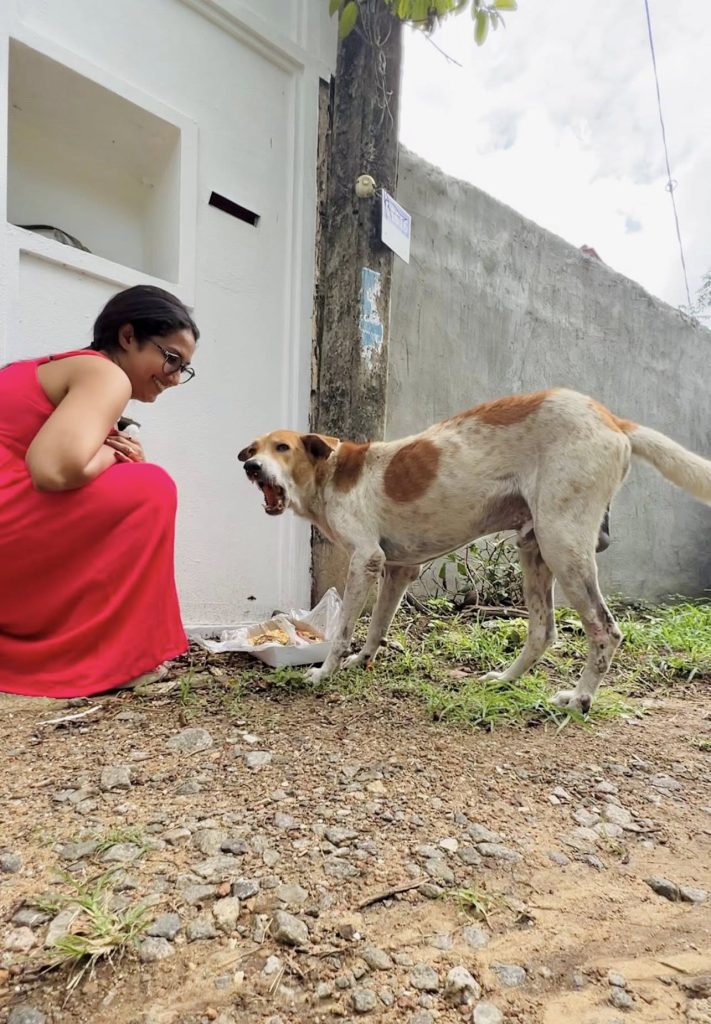 “සතෙක්ට වුණත් කන්න දෙන්න ඕන එයාලා කන්න ආස දෙයක්” එයා එහෙමලු කියන්නෙ… සංගීත් මුහුණු පොතට එක්කළ සටහන…