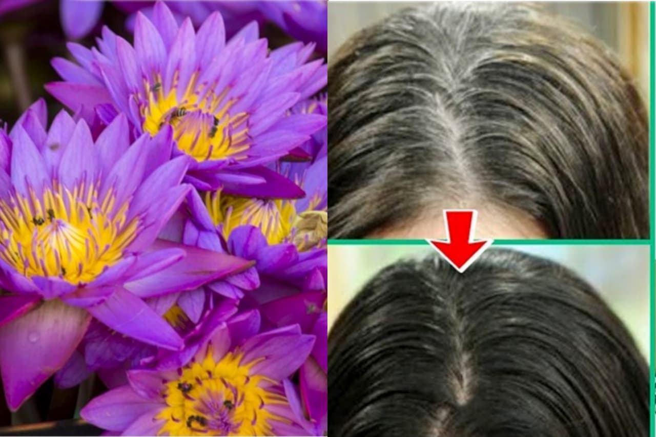 WhatsApp Image 2025-09-02 at 2.16.23 PM