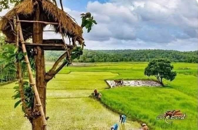 ඔයාලත් මේ කෙම් ක්‍රම ටික දන්නවද ? අපෙන් ඈත් වෙන කෙම් ක්‍රම ටිකක් මෙන්න. බලන්නකෝ ඔයත් මේවා දන්නවද කියලා