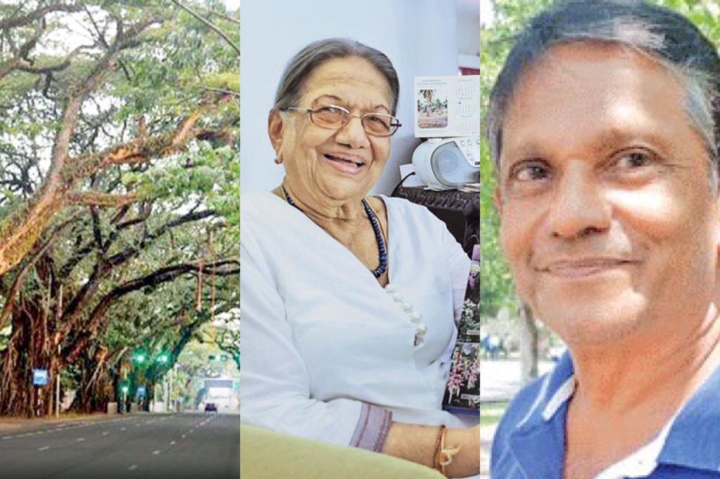 කොළඹ හතේ ගස් සිටුවන අරණට පෙම්බැඳී අපූරු මිනිසෙකු ගැන ඇසෙන පුදුම හිතෙන කතාව මෙන්න ….