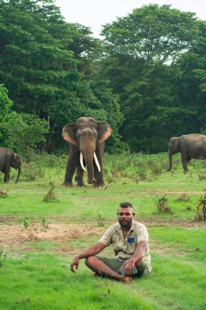 අදින් පස්සේ ගල්ගමුවේ කාවන්තිස්ස මහඇත්රජු සහ ඔහුගේ පිරිවර රකින්නේ කවුද…ගල්ගමුවේ අලි ඇත්තු ටික රකින්න හිටපු ඒ ජවසම්පන්න කොල්ලත් යන්නම ගියා..