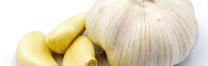 මොන තරම් ගුණ වුණත්, කන්න ඕන පරිස්සමෙන්… සුදුලූනු ගැන ඔබ නොහිතන කතාවක්…