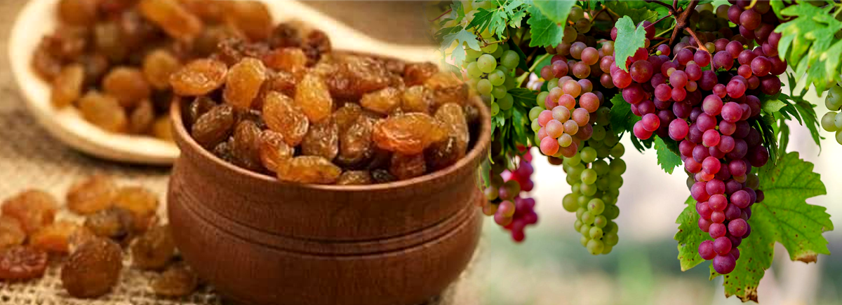 රටක්ම කැළඹූ මුද්දරස්පලම් ගැන ඇත්තටම ඇති මේ විශ්මිත ගුණ ගැන ඔබත් මීට පෙර දැන සිටියාද ?