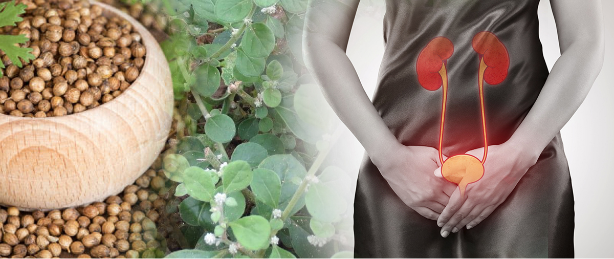 මුත්රා දැවිල්ලක්ද ? මෙන්න ගෙදර ඉදන්ම ලෙඩේ සුව කරගන්න පිලියම් 7ක්…