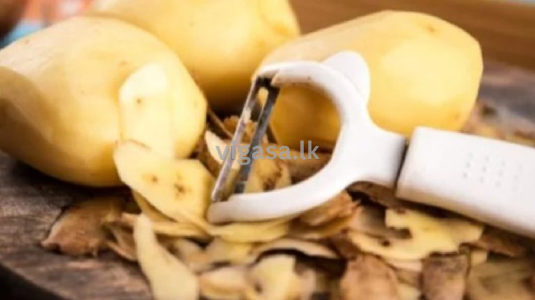 අල පොතු වලින් මේ වගේ වැඩක් ගන්න පුළුවන්ද? ආයෙත්නම් විසික් කරන එකක් නෑ ඔන්න