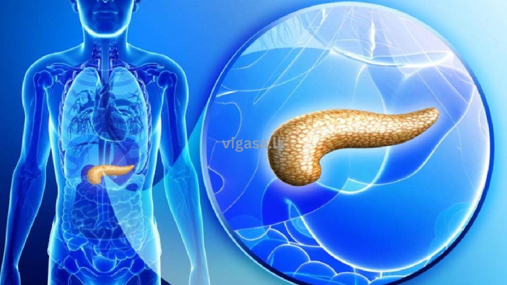 නව සොයාගැනීමක්… ඔබ හිතනවටත් වඩා වැඩි වේගයෙන් දියවැඩියාව හොද කරන්න පුළුවන් කියලා දන්නවද ? නිට්ටාවටම සුව කරන්න මෙන්න මේ දේවල් අනුගමනය කරන්න