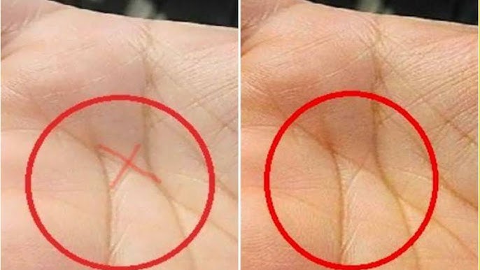 මේ ලක්ෂණ තියෙන්නේ ලෝක ජනගහනයෙන් 3%කට වගේ සුලු පිරිසකට විතරයි. ඔබේ අත්ලෙත් මේ සටහන් තියෙයි නම් දවසක ඔයා යන තැන හිතාගන්න බැරි වෙයි