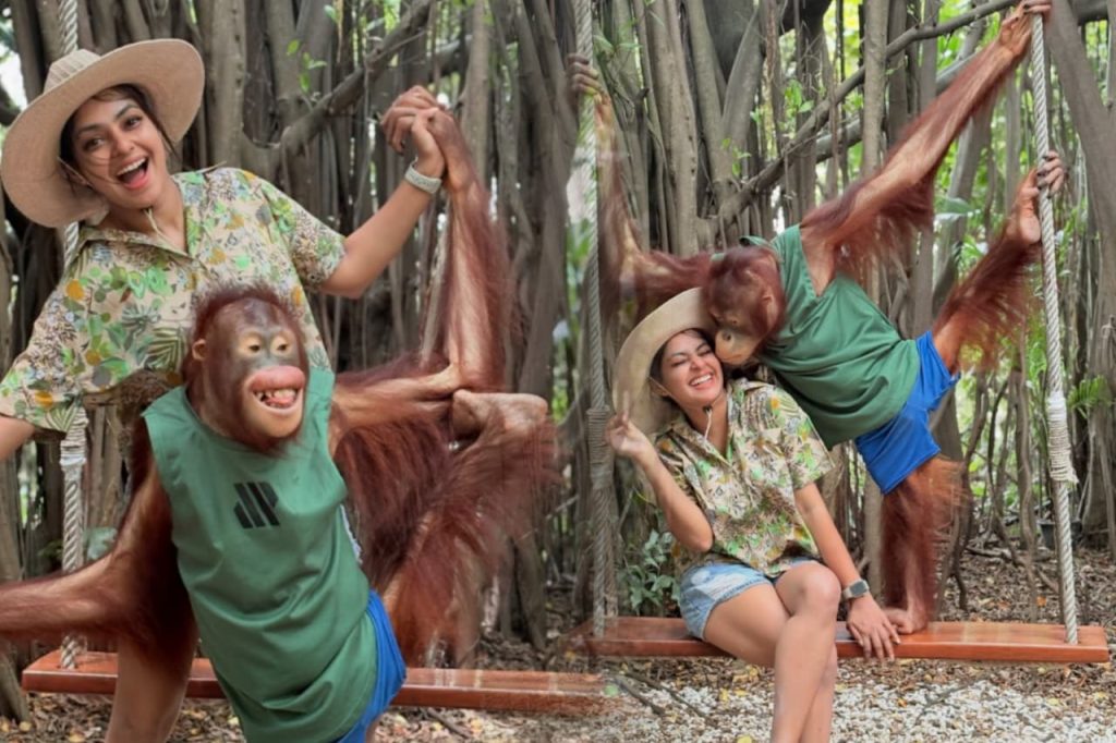 ඒ Love එක බලන්නකෝ… රටක් ආදරේ කරන ගීත්මාගේ අලුත්ම ලව් එක මෙන්න