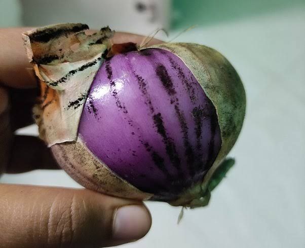 කළු පුස් තියෙනවා නම් ළූණු කන්න පුළුවන්ද…? ගෘහණියක් වන ඔබත් ඒ ගැන දැනගන්න..